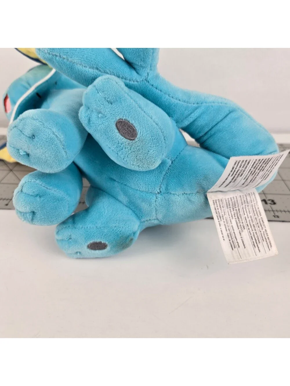 Pokemon bring home